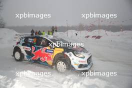 13, Gregoire Munster, Louis Louka, M-Sport Ford WRT, Ford Puma Rally1.  15-18.02.2024. FIA World Rally Championship, Rd 2, Rally Sweden, Umea, Sweden.